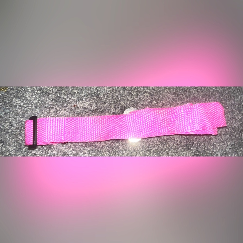 *BRAND NEW/ NEVER USED* Hot Pink Dog Collar / Seatbelt Buckle